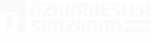 Otomatik Şanzıman Servisi logo